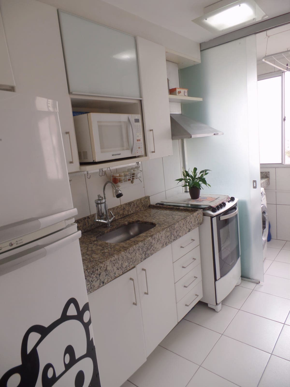 Apartamento a Venda no Parque São Vicente